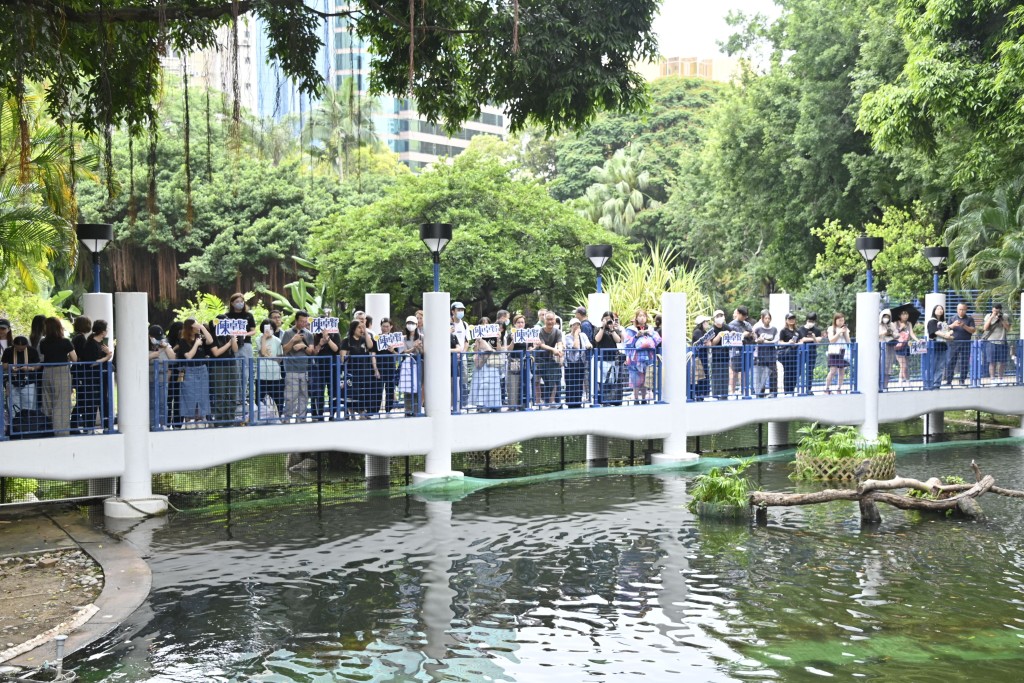 Hellosss為他舉行生日展，Ian稱還未到現場，要等待回港後夾到時間去。