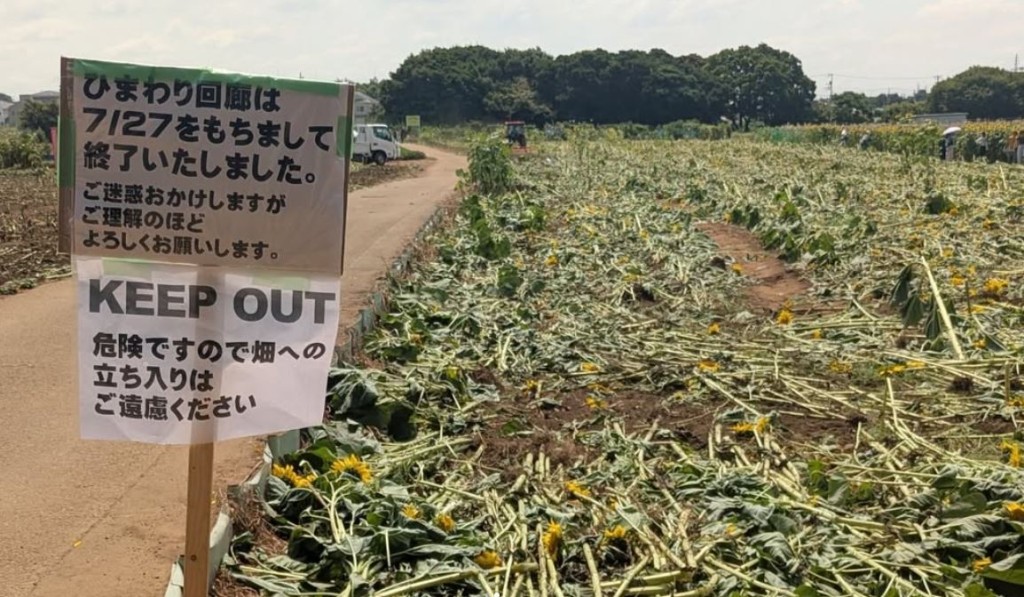 現場有一塊寫有「本項目於7月27日結束」的告示牌。IG@orido.farmony
