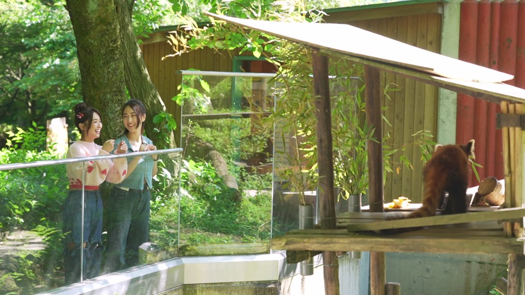 林映晖与张雅涵到富山市家族公园睇动物。