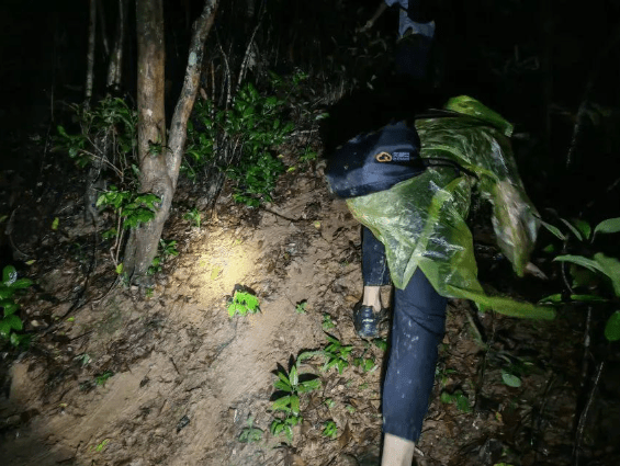 深圳2名遊客颱風天擅闖危險區，獲救後被罰款。深圳商報