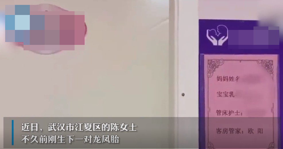内地媒体就事件作出报道，报道指武汉市江夏区的陈女士不久前刚生下一对龙凤胎。