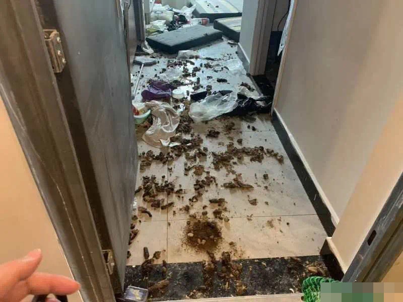 女租客留下滿地垃圾後不辭而別。網圖