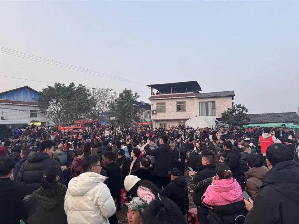 殺年豬成為網絡熱話,數以萬計的網民湧往重慶合川。極目新聞 殺年豬成為網絡熱話,數以萬計的網民湧往重慶合川。極目新聞