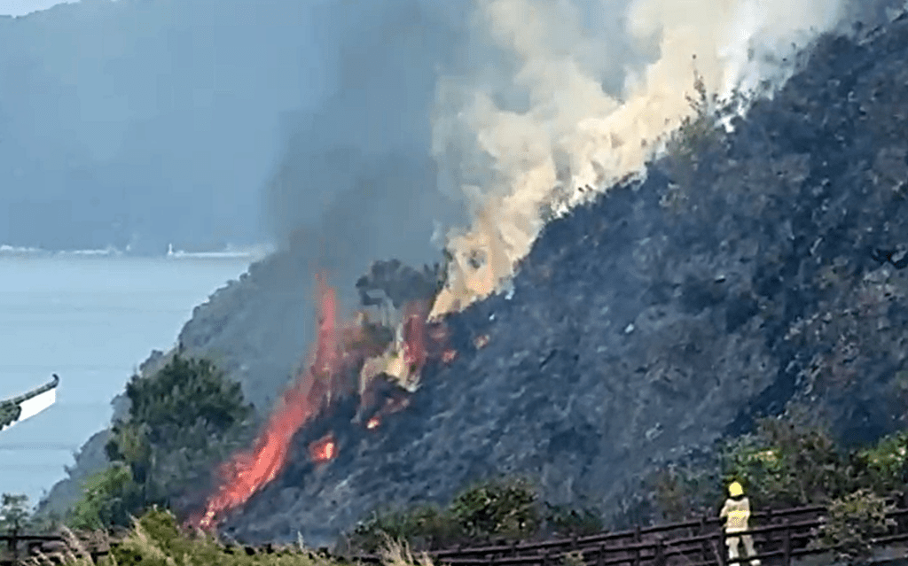 消防到場撲救。網片截圖