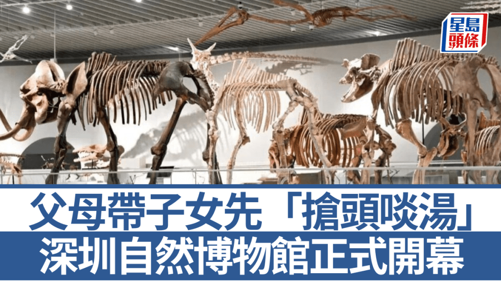 深圳自然博物館今日(7月28日)正式開幕。微博@深圳政杰