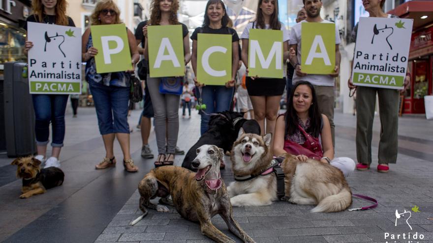 西班牙反對虐待動物黨成員。網上圖片