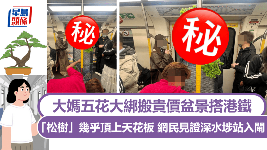 「松樹」幾乎頂上天花板 大媽五花大綁搬貴價盆景搭港鐵 網民見證深水埗站入閘｜Juicy叮