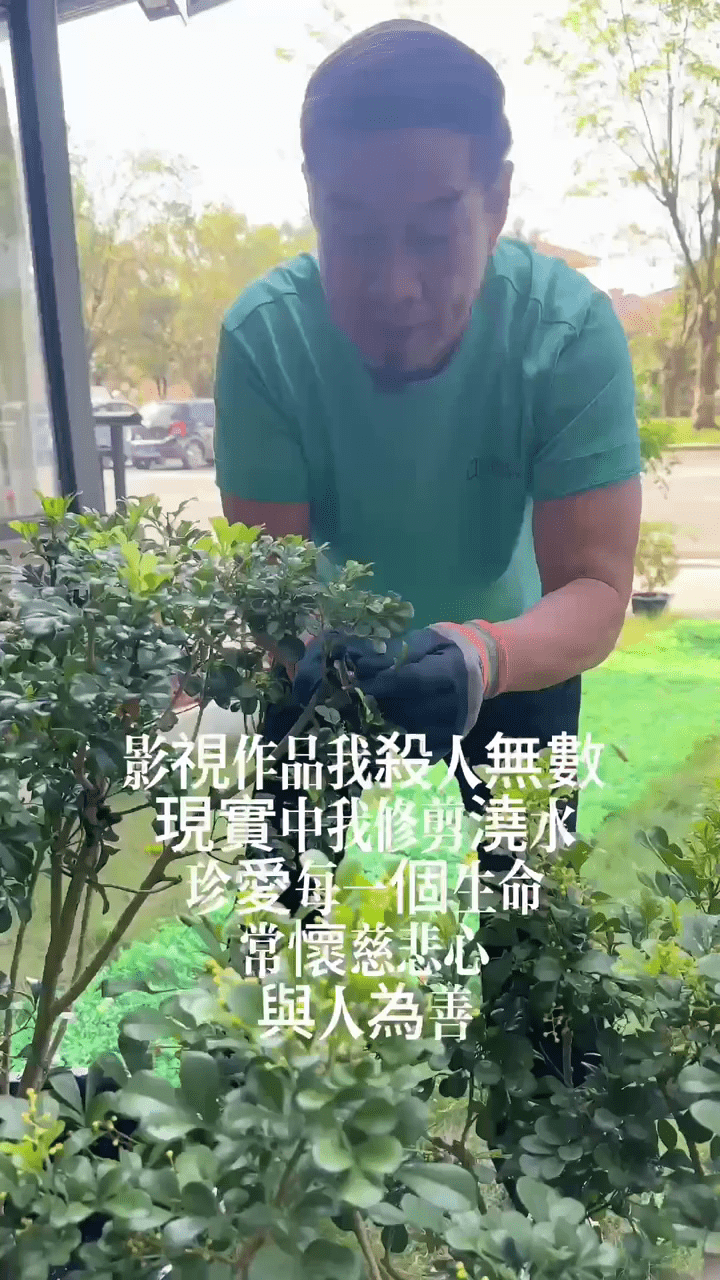 白彪分享他在江门的生活日常，他正在修花修草。