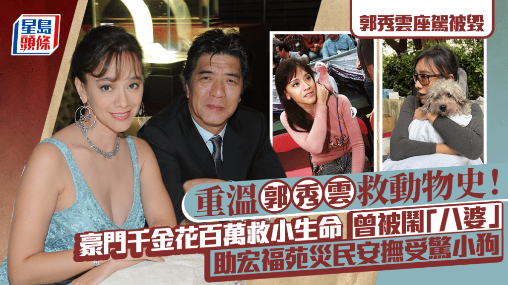 郭秀雲座駕被毀丨豪門千金為救動物花百萬  曾救雀被鬧「八婆」 助宏福苑災民安撫受驚小狗