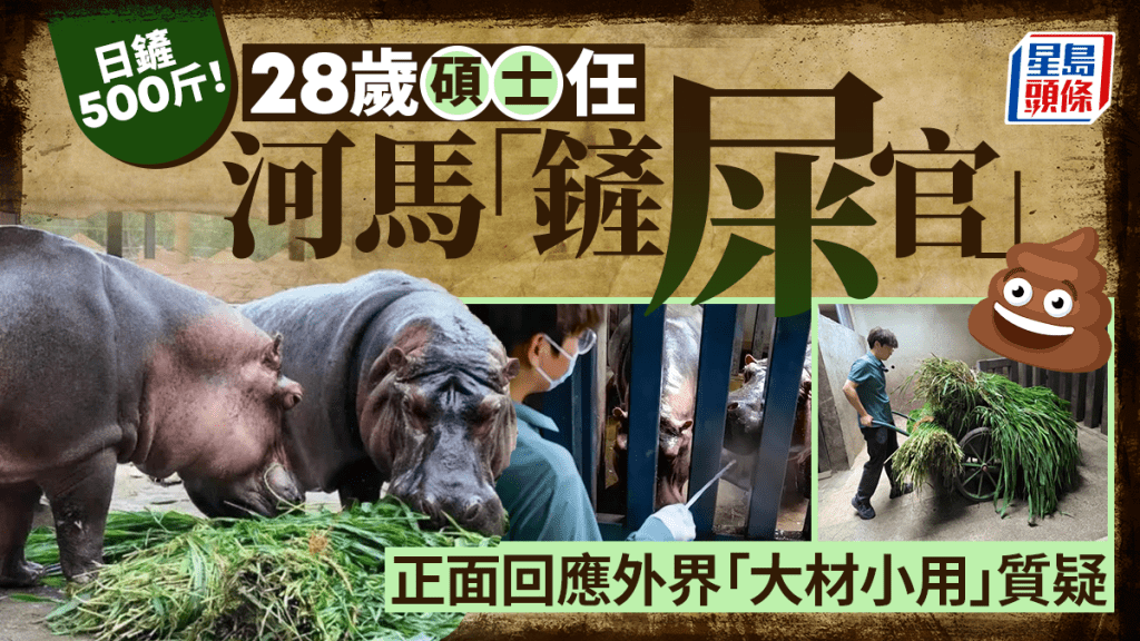95后硕士任职河马「铲屎官」 日铲500斤粪洗两次澡直言很踏实