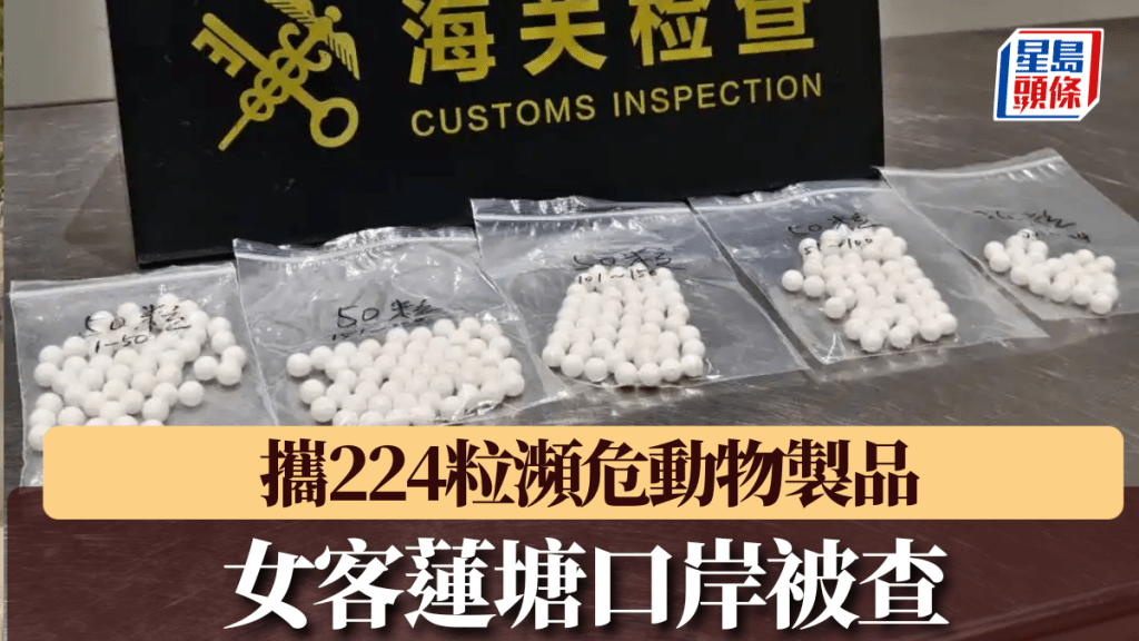 女客攜224粒白色圓珠蓮塘口岸入境被截查,證實屬瀕危動物製品。