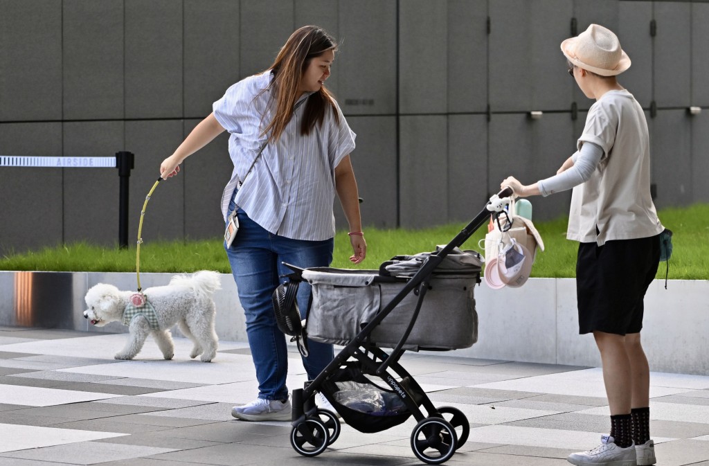 政府計劃修例放寬食肆申請牌照，容許狗隻進入餐廳。