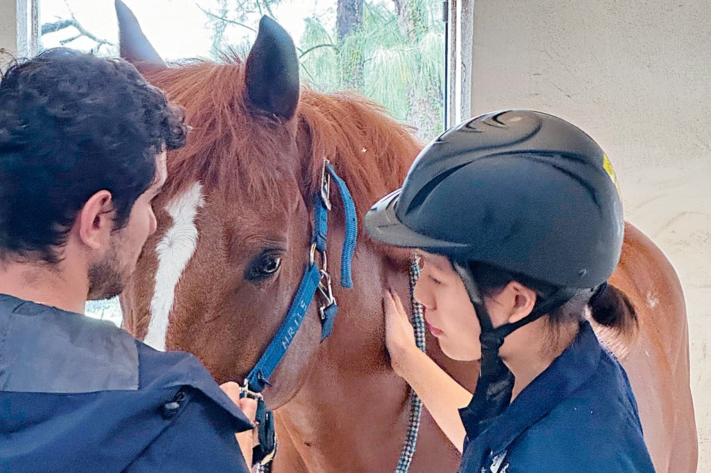 課程包括豐富的馬匹實踐與培訓，畢業生更有機會加入香港賽馬會獸醫團隊成為馬匹獸醫。