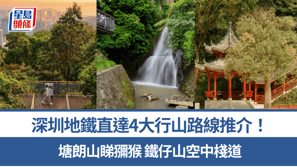 深圳地鐵直達行山路線推介！4大遠足路線  塘朗山睇獼猴 鐵仔山空中棧道