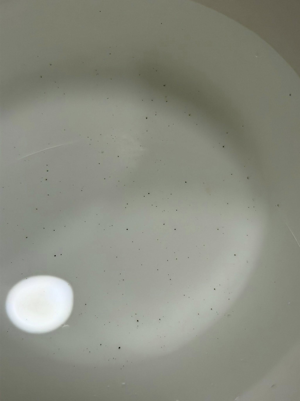 太古城食水出現黑色雜物。fb:太古人太古事 太古城食水出現黑色雜物。fb:太古人太古事