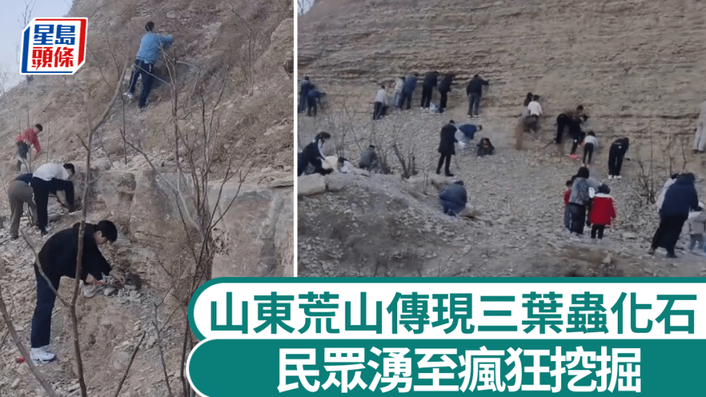 聲稱挖掘到三葉蟲化石消息傳出，即有大批民眾到場搜挖。抖音@北方流雲