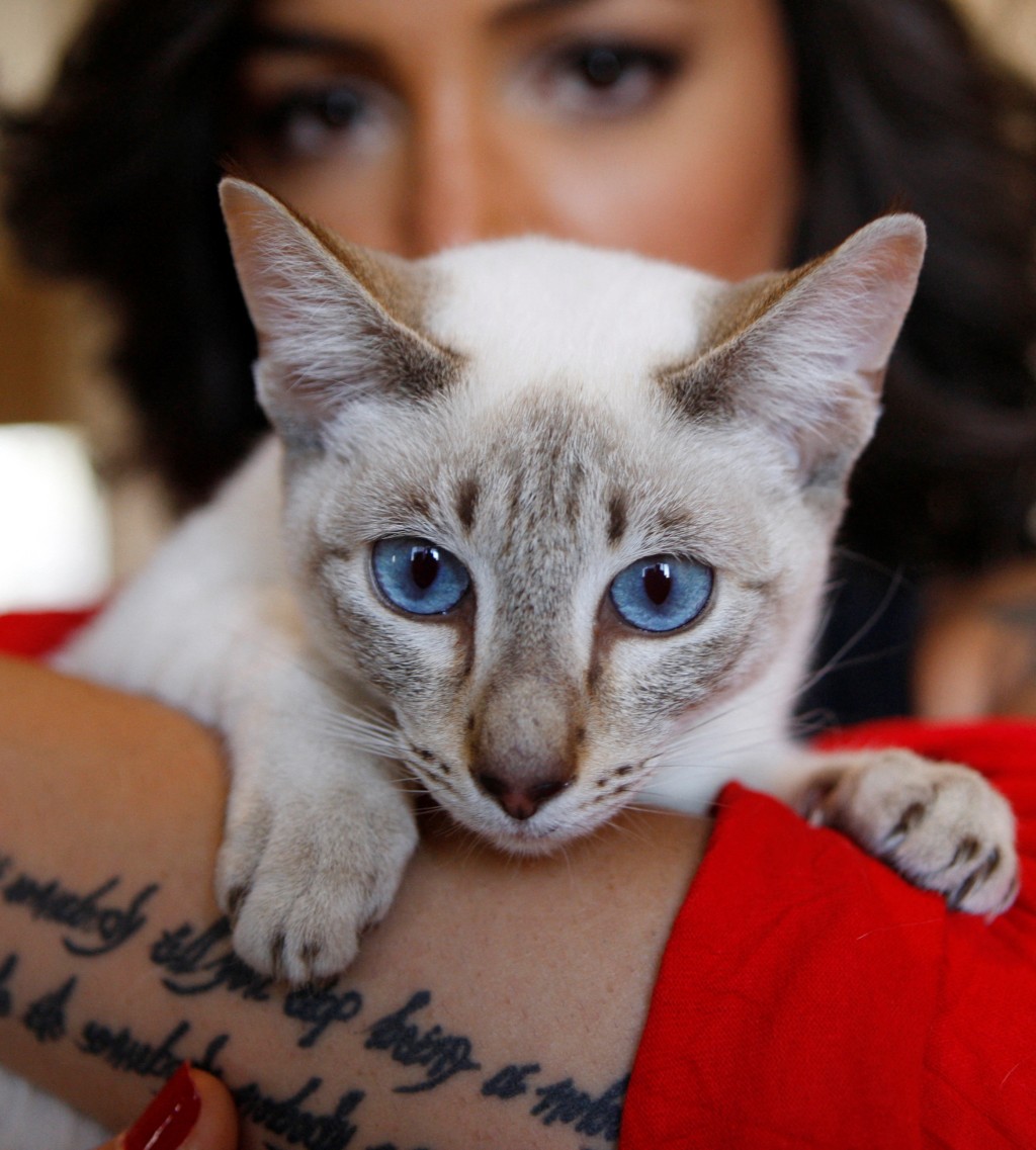 貓咪個性總是讓人捉摸不定。路透社