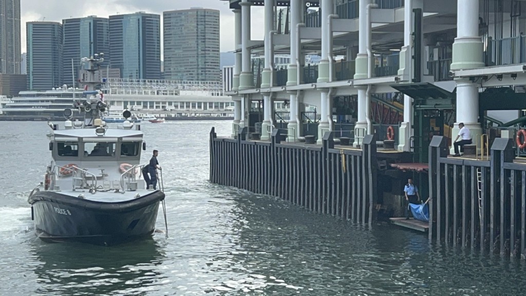 水警將海豚屍體撈起，移往7號碼頭上岸。楊偉亨攝