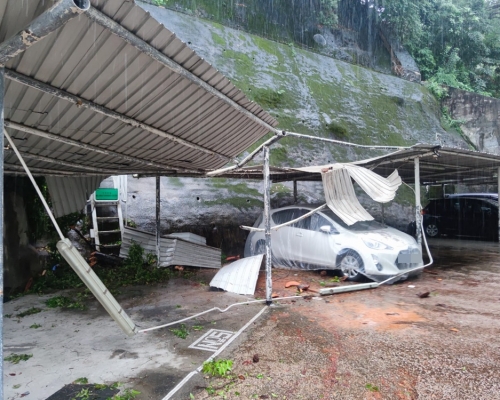 何文田大廈塌樹,壓毀屋苑車場及私家車。