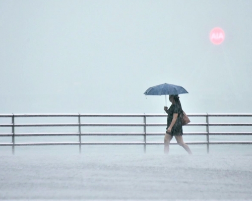 本港今早普遍錄得超過60毫米雨量。