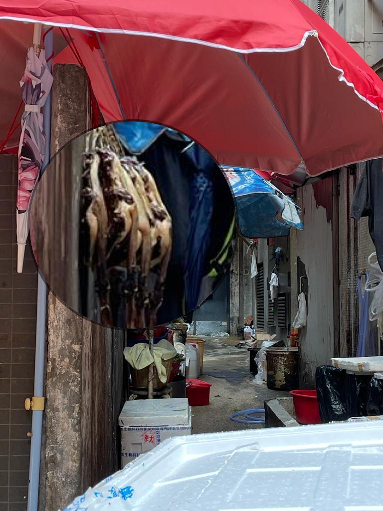 《星島申訴王》接獲報料，指有米芝蓮餐廳公然在後巷曬臘味﹑切菜備料﹑將殘渣倒入公渠，影響公眾衛生。