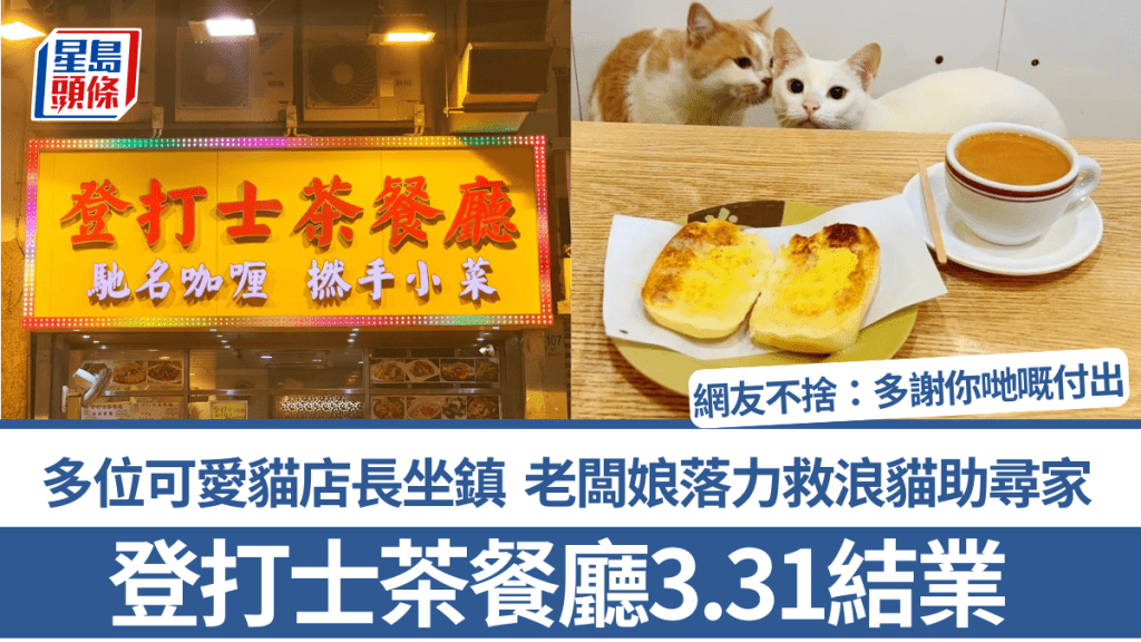 油麻地登打士茶餐廳3.31結業 可愛貓店長坐鎮 老闆娘落力救浪貓助尋家 網友不捨:多謝你哋嘅付出