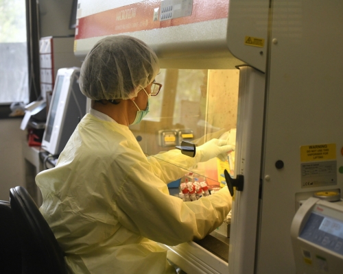 政府又指，一直致力增加公營機構對病毒的檢測能力。資料圖片