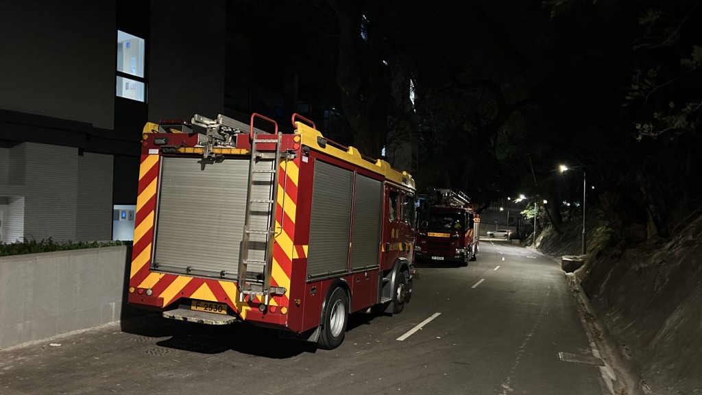 警方周五（1月2日）派員連同飛行服務隊、消防及民安隊到薄扶林水塘一帶進行通宵搜救，至周六凌晨，有多輛消防車停在薄扶林水塘道。蔡楚輝攝