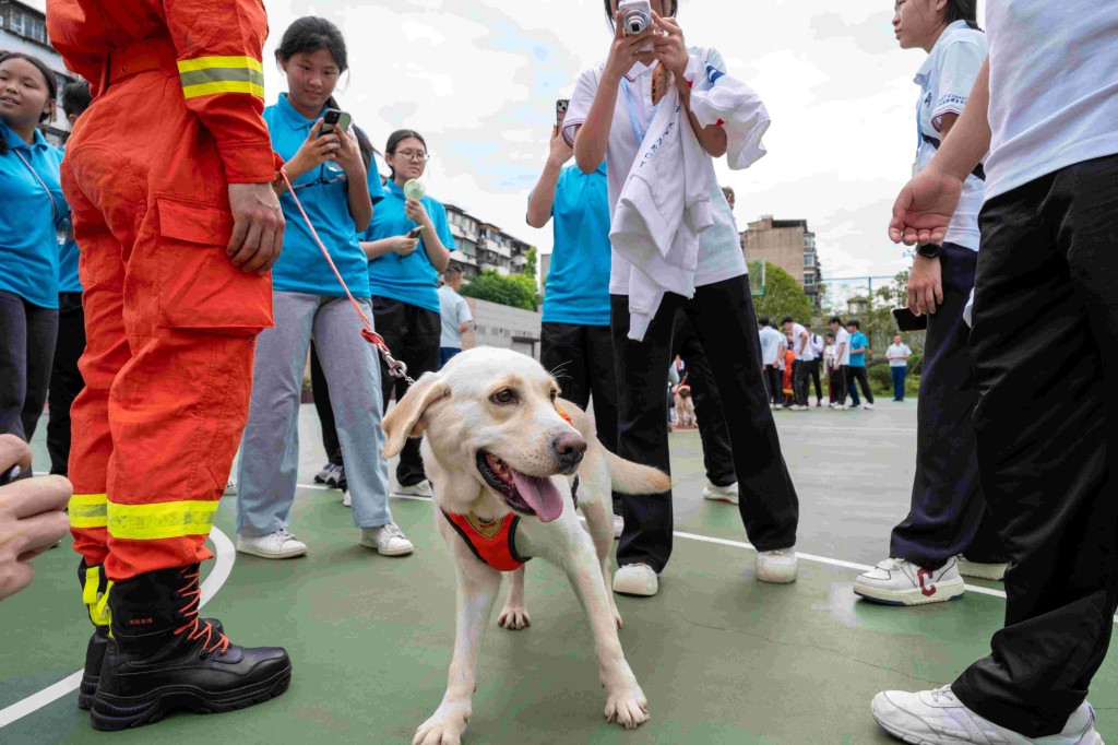 油尖旺消防及救護青年團與消防犬互動。