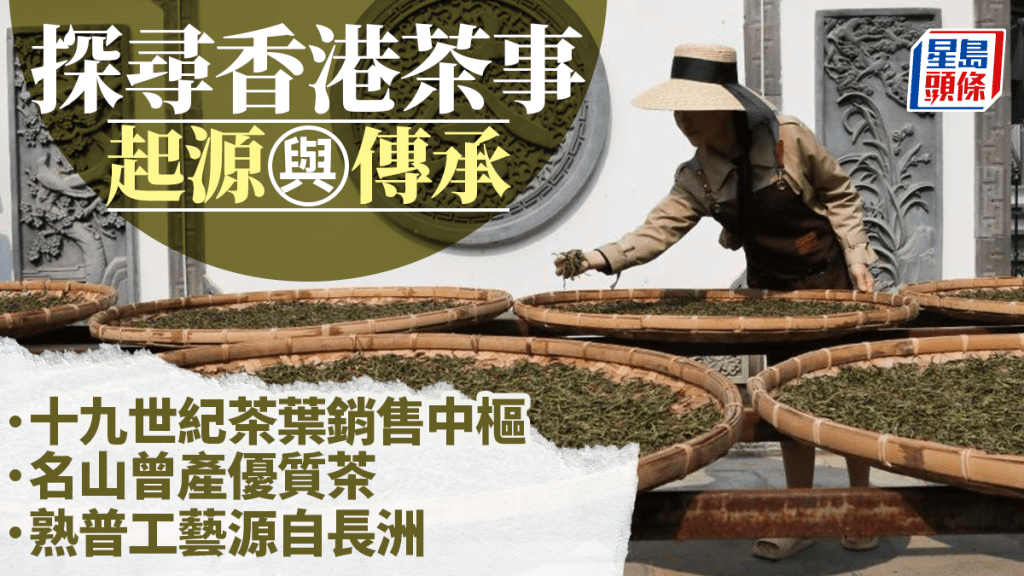 每日雜誌｜探尋香港茶事起源與傳承  十九世紀茶葉銷售中樞  名山曾產優質茶  熟普工藝源自長洲
