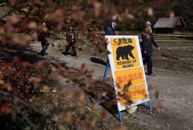 愛知縣與鄰近的岐阜縣已發布熊出沒警報。美聯社 愛知縣與鄰近的岐阜縣已發布熊出沒警報。美聯社