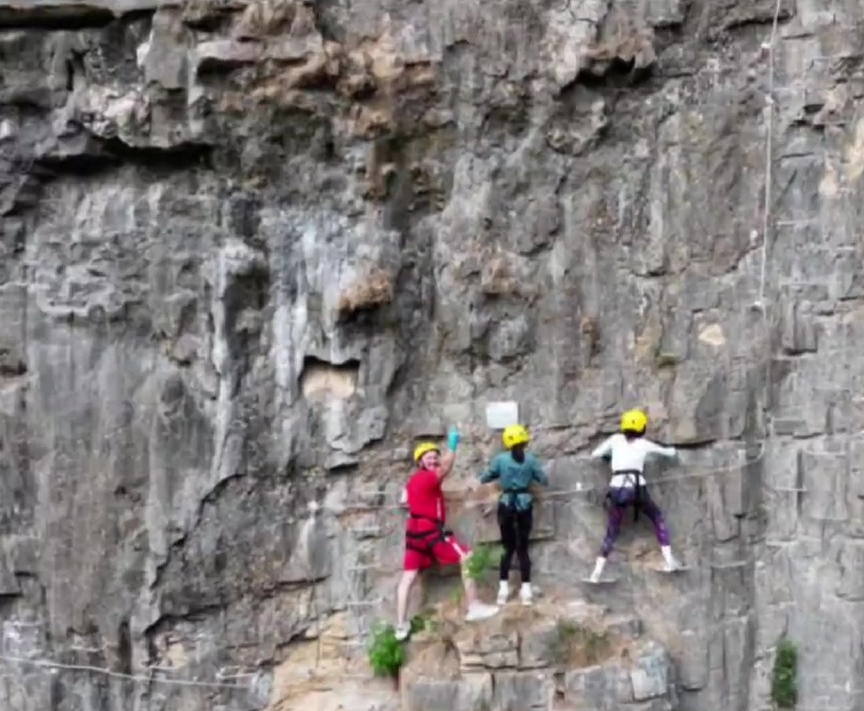 女子玩高空鋼索遭蜂群圍攻，慘螫180針休克命懸半空險死。 荔枝新聞