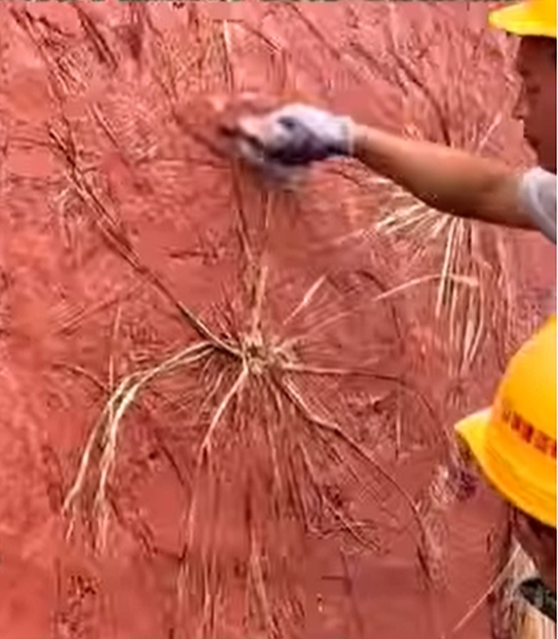 猪血并非用于镇邪，而是作为黏合剂。