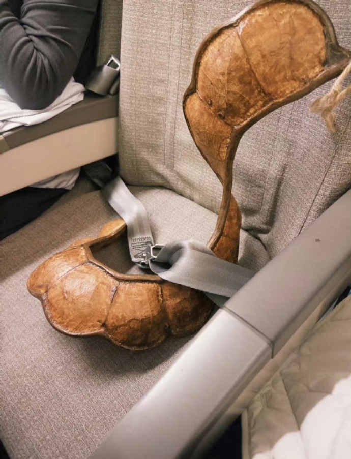 網友跟風分享攜巨大豆莢搭乘交通工具的照片。