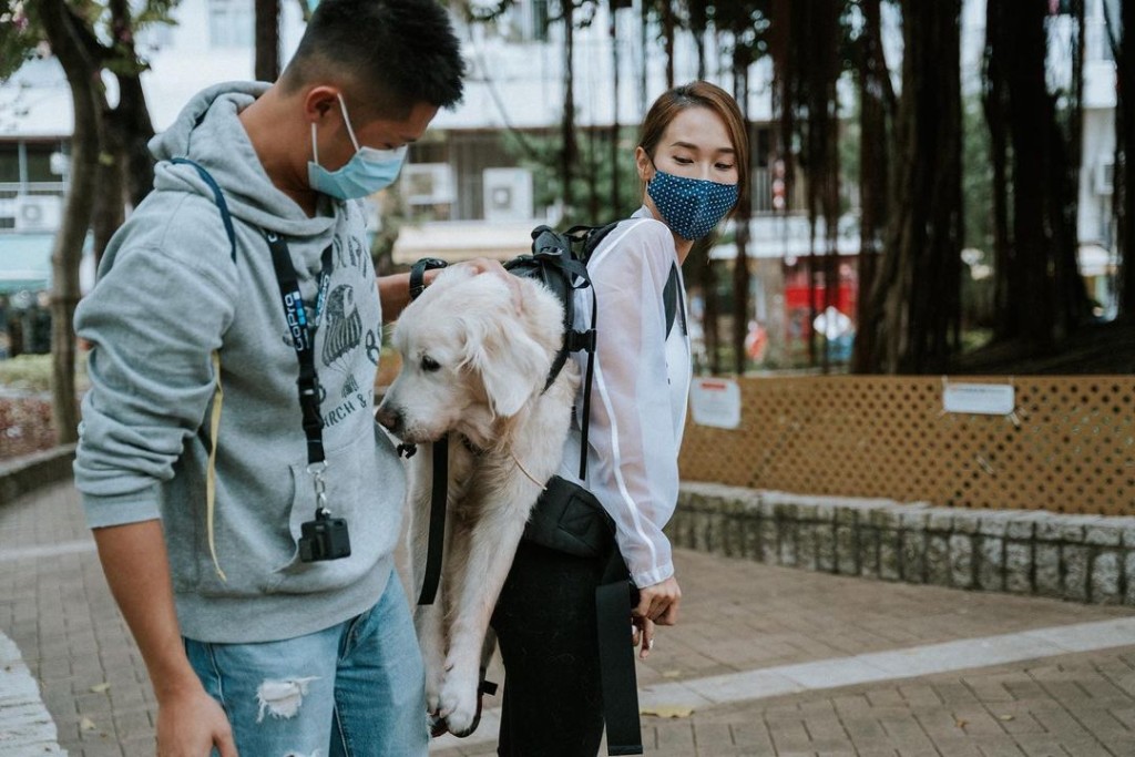 李旻芳曾每日孭住行動不便的狗狗散步，是人美心善的最佳代表。