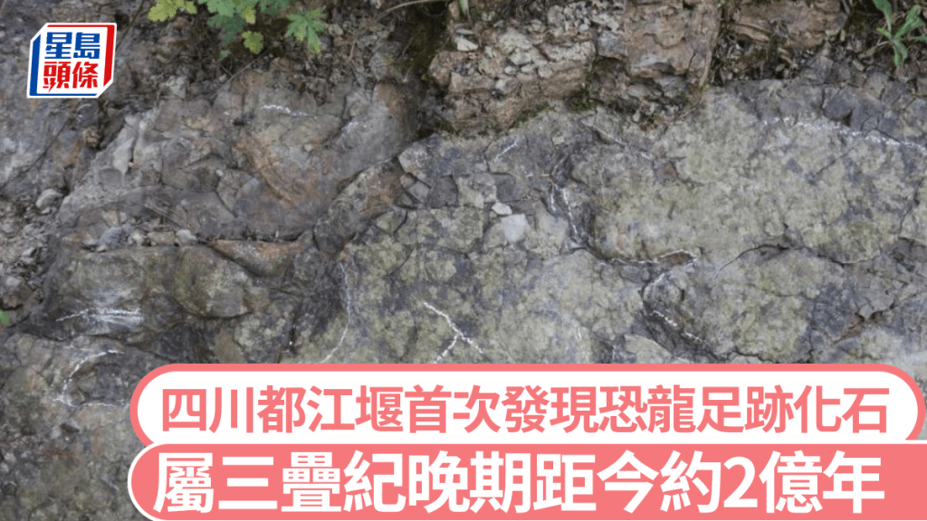 專家共確認20多個足跡化石。