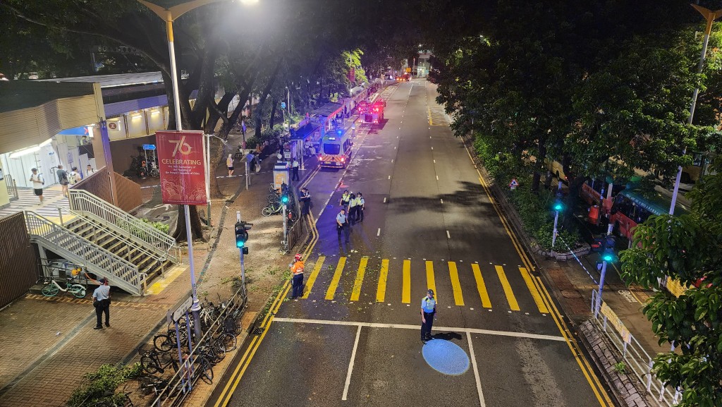 現場為新運路近上水港鐵站對開。