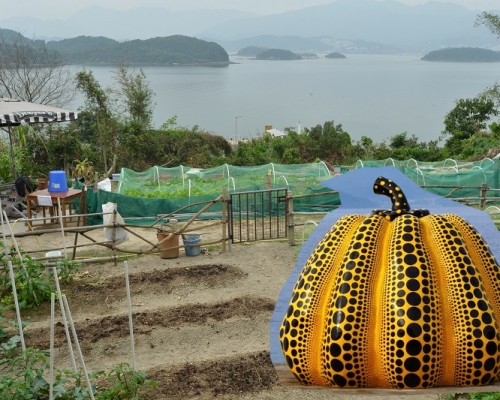 政府消息人士指,旅遊事務署參考日本瀨戶內海藝術祭,搞鹽田梓藝術祭。資料圖片