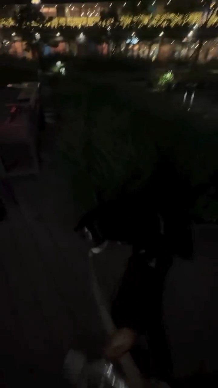 事主帶愛犬到海天晉對開公園散步,詎料突然有高層單位住戶使用鐳射筆射向他們。threads@shiba.pogor 事主帶愛犬到海天晉對開公園散步,詎料突然有高層單位住戶使用鐳射筆射向他們。threads@shiba.pogor