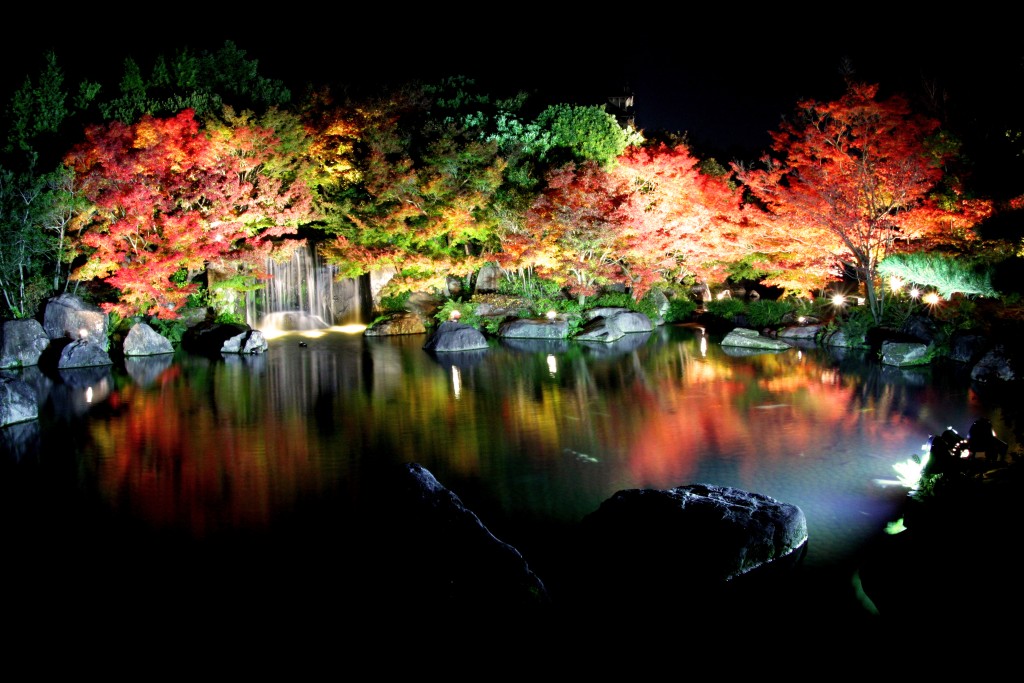 姬路市好古园，由11月18日至12月4日均会在晚上亮灯供人夜赏红叶。