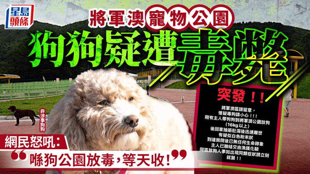 將軍澳寵物公園史賓格犬疑被毒斃  網民：係狗公園放毒等天收