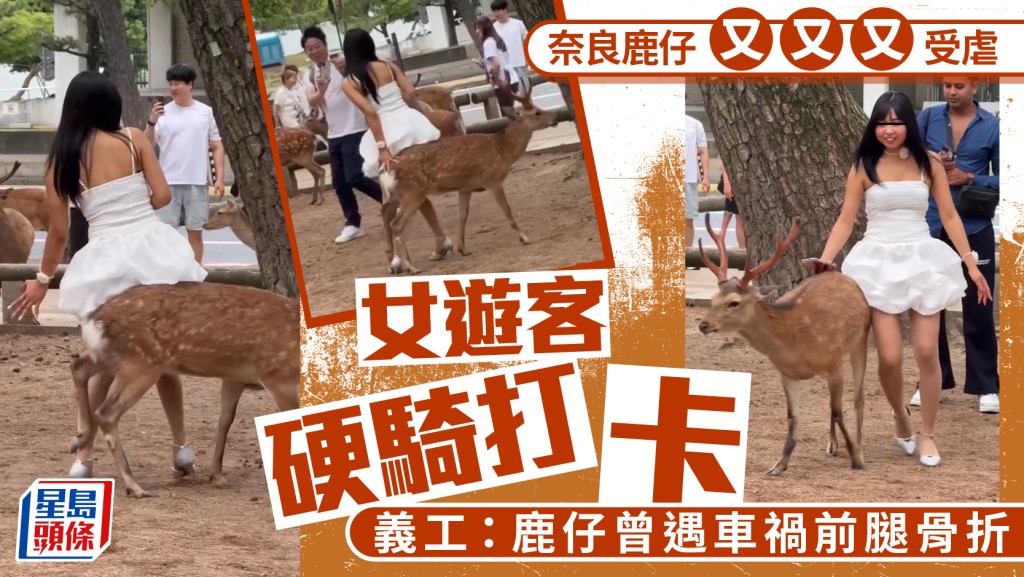 無品遊客｜短裙女硬騎奈良鹿打卡 義工揭該鹿曾遇車禍骨折轟「虐待」