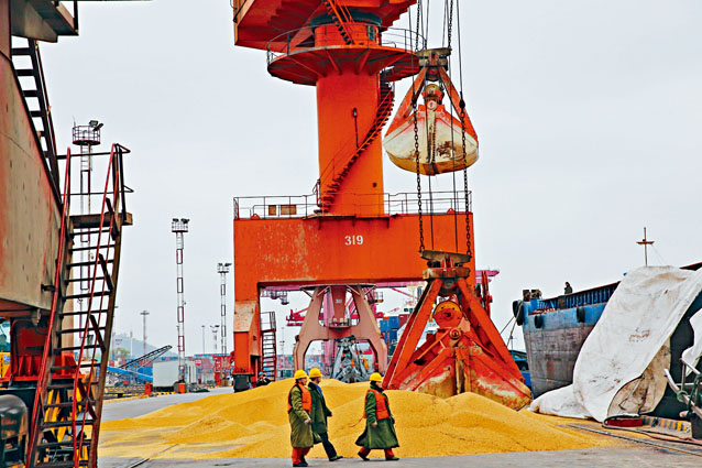 ■传中国暂停采购美国农产品。图为江苏南通一港口卸下进口大豆。