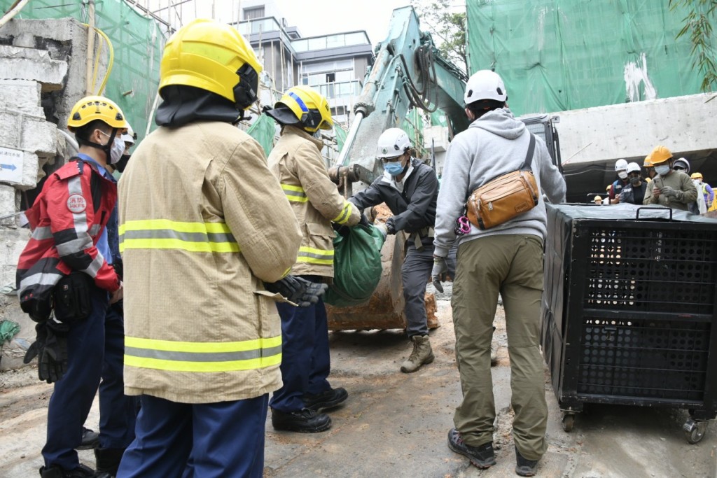 野猪终被救起，消防员用绿色帆布包裹起来。杨伟亨摄