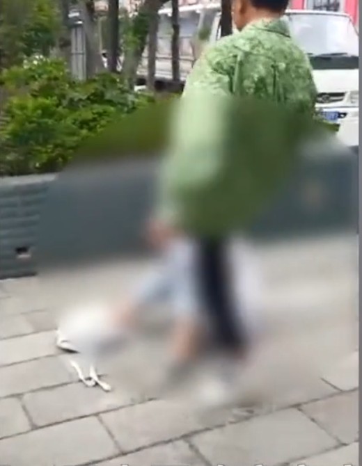 影片截圖