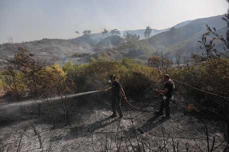 希腊志愿人员奋力扑救山火。路透社