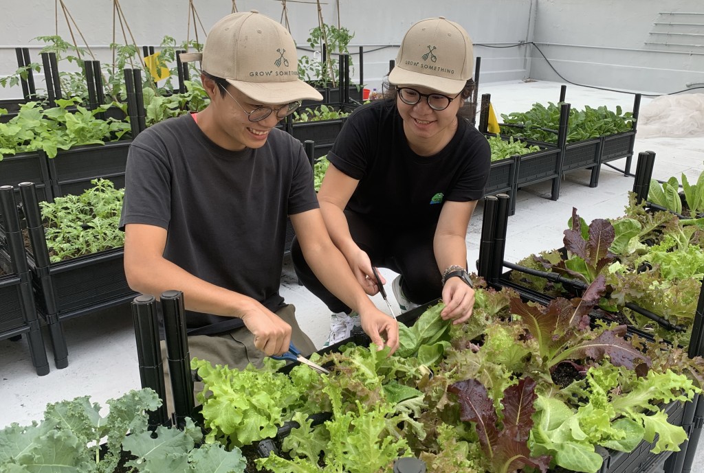 YOHO Mall 打造逾10,000呎都市農莊。 YOHO Mall 打造逾10,000呎都市農莊。