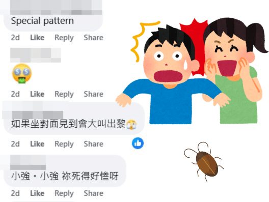 網民：如果坐對面見到會大叫出嚟。fb「好fashion呀你」截圖