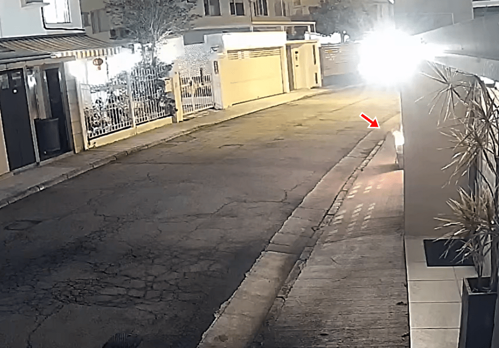 其後紙皮箱起火。fb：  錦綉住客大聯盟