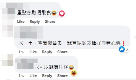 网民：重点系敢唔敢食。fb「青衣街坊吹水会」截图